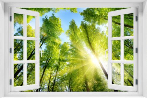Fototapeta Naklejka Na Ścianę Okno 3D - Zauberhafter Sonnenschein auf grünen Baumkronen im Wald