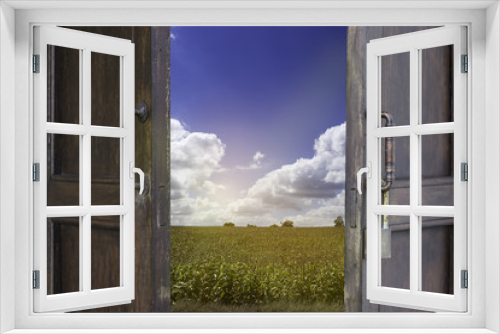 Fototapeta Naklejka Na Ścianę Okno 3D - old wood window open to corn farm and blue sky cloudy - can use to display or montage on product