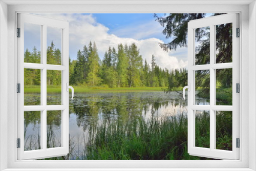 Fototapeta Naklejka Na Ścianę Okno 3D - View of forest the river through the branches of the trees Sunny