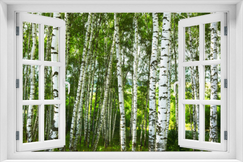 Fototapeta Naklejka Na Ścianę Okno 3D - summer in birch forest