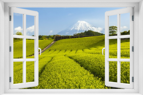 Fototapeta Naklejka Na Ścianę Okno 3D - 富士山と新緑の茶畑