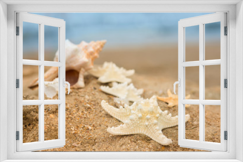 Fototapeta Naklejka Na Ścianę Okno 3D - large shell and starfish
