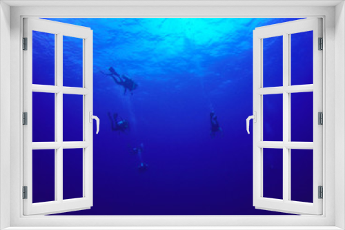 Fototapeta Naklejka Na Ścianę Okno 3D - Group scuba divers diving underwater in sea: silhouette and sun