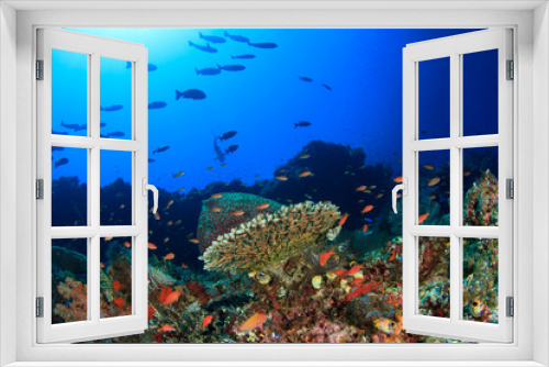 Fototapeta Naklejka Na Ścianę Okno 3D - Coral reef and fish underwater in ocean