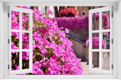 Fototapeta Naklejka Na Ścianę Okno 3D - Bordure con piante fiorite di petunie in una via di città in Italia