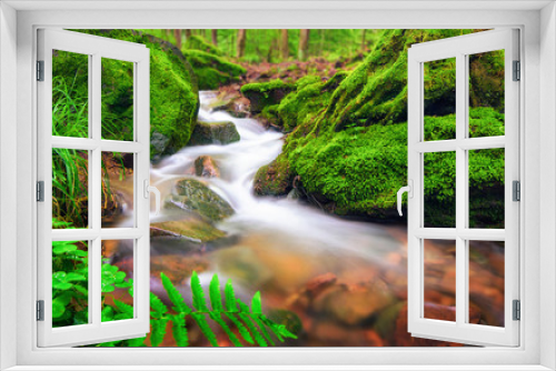Fototapeta Naklejka Na Ścianę Okno 3D - Klares Wasser fließt durch moosbewachsenen Waldboden