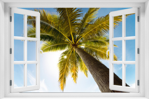 Fototapeta Naklejka Na Ścianę Okno 3D - Coconut palm tree against blue sky
