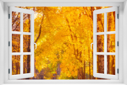 Fototapeta Naklejka Na Ścianę Okno 3D - Autumn. Fall scene.