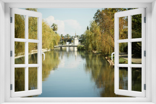 Fototapeta Naklejka Na Ścianę Okno 3D - swans on the Rivers