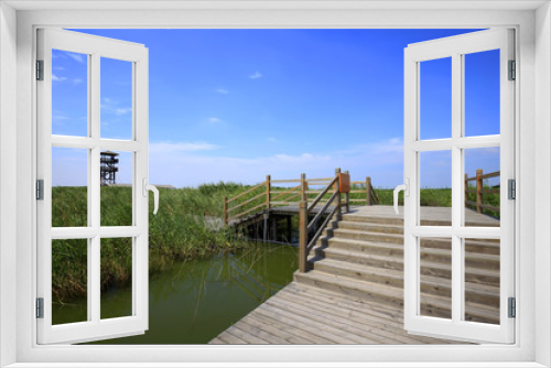 Fototapeta Naklejka Na Ścianę Okno 3D - Wetland landscape