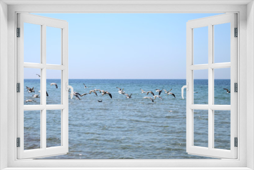 Fototapeta Naklejka Na Ścianę Okno 3D - many gulls flying low over the sea