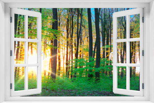 Fototapeta Naklejka Na Ścianę Okno 3D - Sonnenaufgang im Wald