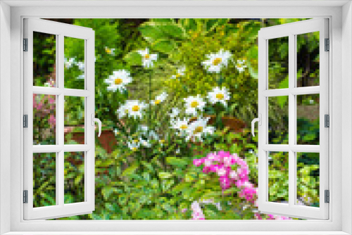 Fototapeta Naklejka Na Ścianę Okno 3D - Beautiful home garden in Summer