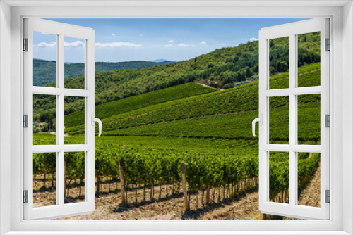 Fototapeta Naklejka Na Ścianę Okno 3D - A vineyard in Tuscany, Italy