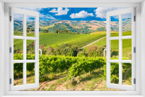 Fototapeta Naklejka Na Ścianę Okno 3D - Rows of vineyard among hills