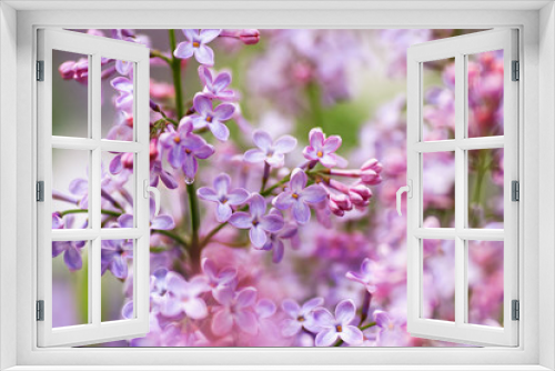 Fototapeta Naklejka Na Ścianę Okno 3D - a floral background of violet lilac