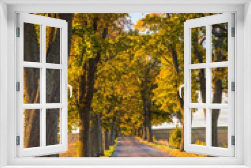 Fototapeta Naklejka Na Ścianę Okno 3D - Beautiful romantic autumn alley colorful trees and sunlight
