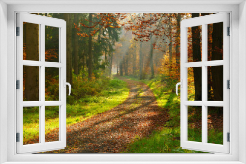 Fototapeta Naklejka Na Ścianę Okno 3D - Footpath through Enchanted Autumn Forest illuminated by Sunbeams through Fog, Leaves Changing Colour