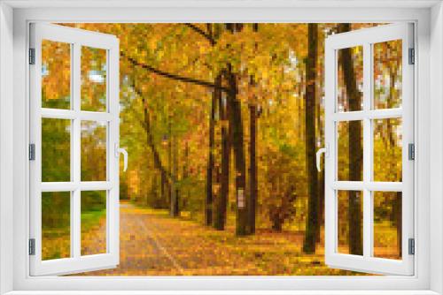 Fototapeta Naklejka Na Ścianę Okno 3D - Jesień w parku