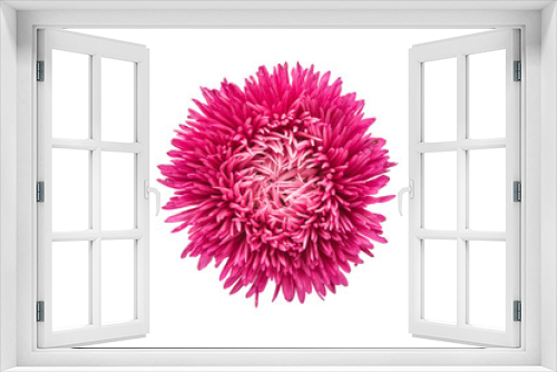 Fototapeta Naklejka Na Ścianę Okno 3D - Beautiful flower aster