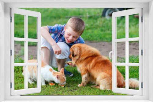 Fototapeta Naklejka Na Ścianę Okno 3D - smiling little boy feeds homeless cat and redhead stray  dog in the yard
