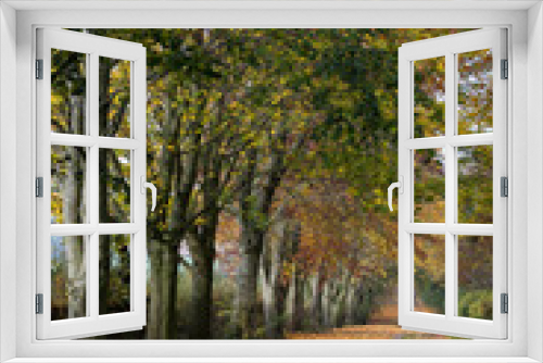 Fototapeta Naklejka Na Ścianę Okno 3D - Autumn Road Portrait