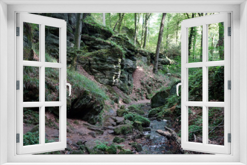 Fototapeta Naklejka Na Ścianę Okno 3D - Small river in forest