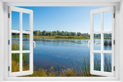 Fototapeta Naklejka Na Ścianę Okno 3D - Shore of a lake in summer 