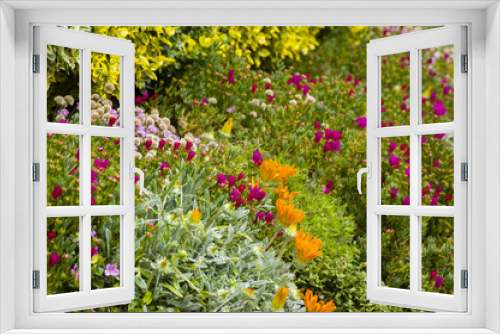 Fototapeta Naklejka Na Ścianę Okno 3D - Talus fleuris
