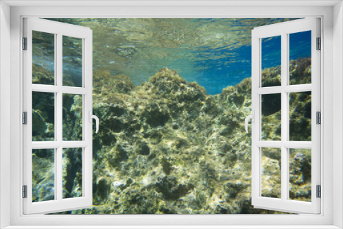 Fototapeta Naklejka Na Ścianę Okno 3D - Wave under Water