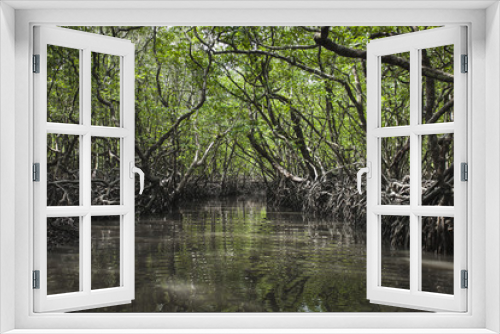 Fototapeta Naklejka Na Ścianę Okno 3D - Mangrove tree at Havelock island, Andaman and Nicobar, India