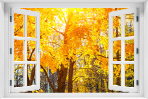 Fototapeta Naklejka Na Ścianę Okno 3D - Colorful autumn park at sunny day