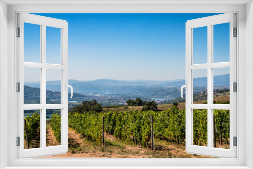 Fototapeta Naklejka Na Ścianę Okno 3D - Champs de vignes dans la vallée du Rhône