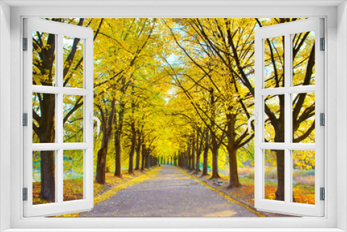 Fototapeta Naklejka Na Ścianę Okno 3D - Beautiful autumn walkway