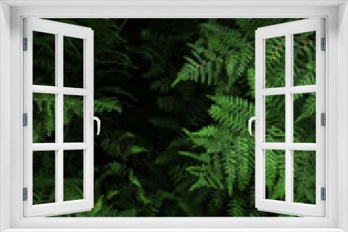 Fototapeta Naklejka Na Ścianę Okno 3D - Bright green plants in the forest