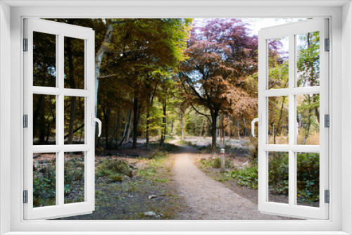 Fototapeta Naklejka Na Ścianę Okno 3D - Countryside walk with path winding through trees