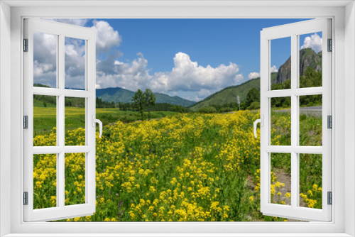 Fototapeta Naklejka Na Ścianę Okno 3D - wildflowers meadow mountains yellow