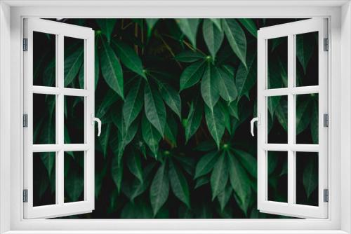 Fototapeta Naklejka Na Ścianę Okno 3D - Green leaves wall background. vintage filter