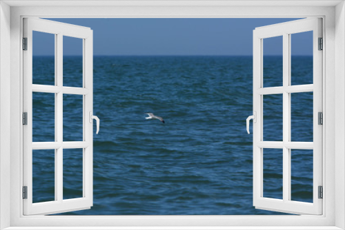 Fototapeta Naklejka Na Ścianę Okno 3D - Seagull Soaring Over the Ocean
