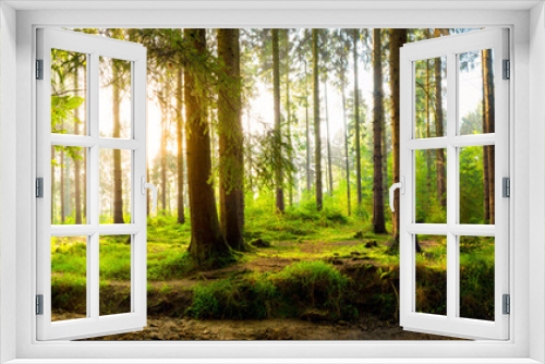 Fototapeta Naklejka Na Ścianę Okno 3D - Idyllischer Wald mit Bach bei Sonnenaufgang