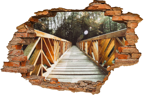 Wood bridge on the forest vaninhing point perspective
