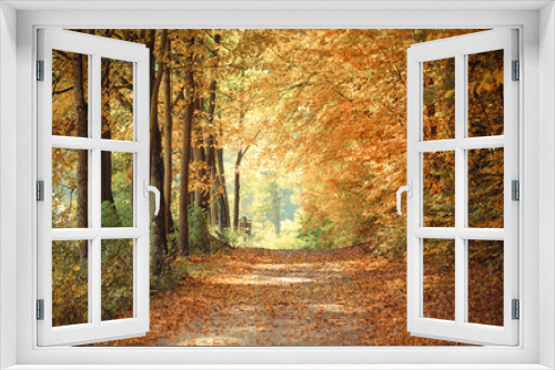 Fototapeta Naklejka Na Ścianę Okno 3D - Vintage photo, Landscape, view of path in autumnal park
