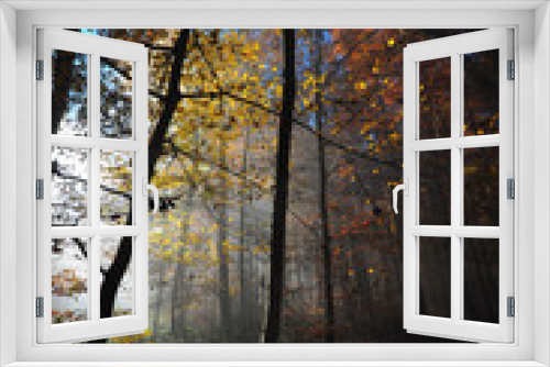 Fototapeta Naklejka Na Ścianę Okno 3D - Dunkler Herbstwald
