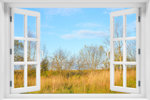 Fototapeta Naklejka Na Ścianę Okno 3D - Early autumn landscape.