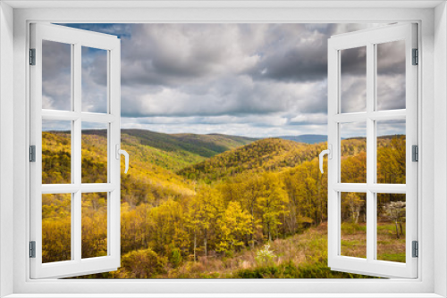 Fototapeta Naklejka Na Ścianę Okno 3D - Early spring view of the Blue Ridge Mountains in Shenandoah Nati