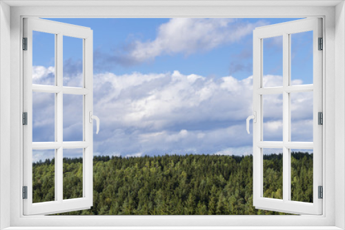 Fototapeta Naklejka Na Ścianę Okno 3D - Wald vor blauem Himmel