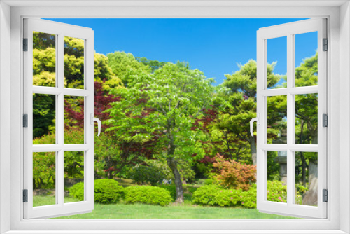 Fototapeta Naklejka Na Ścianę Okno 3D - 新緑の庭園