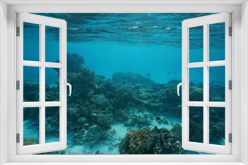 Fototapeta Naklejka Na Ścianę Okno 3D - Underwater coral reef on a shallow ocean floor, natural scene, Rangiroa lagoon, Tuamotu, Pacific ocean, French Polynesia