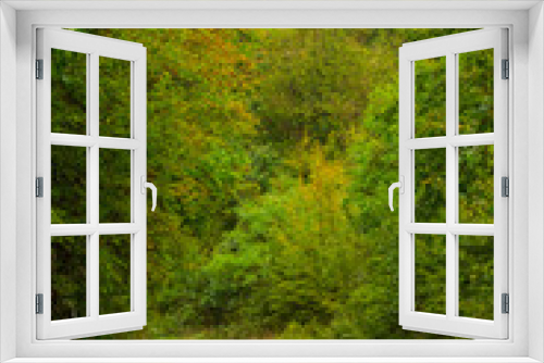 Fototapeta Naklejka Na Ścianę Okno 3D - Autumn scenery in a mountain forest on a rainy day