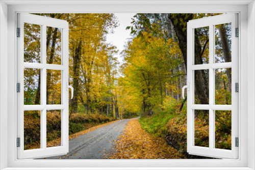 Fototapeta Naklejka Na Ścianę Okno 3D - Country Road in Autumn